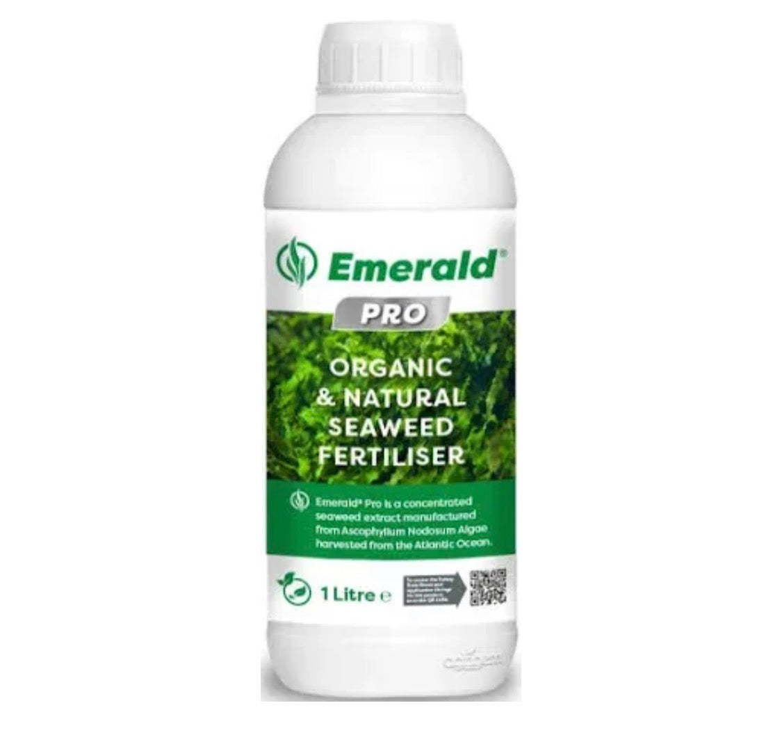 Emerald Pro Seaweed